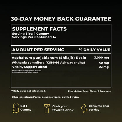 Primalty Himalyan Shilajit Gummies